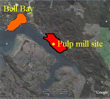 google-pic-pulp-mill-site